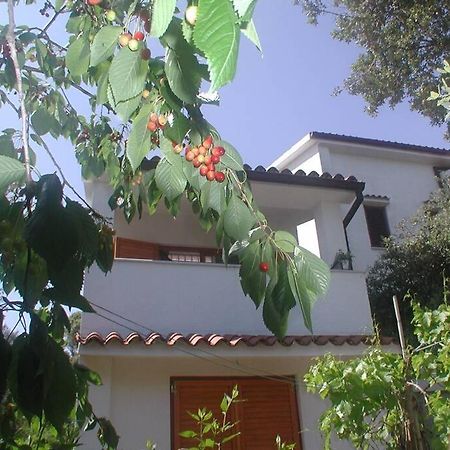 Stinjan-Studio Apartment Petric Pula Exterior foto